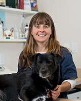 veterinary team member with dog