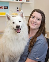 veterinary team member with white dog